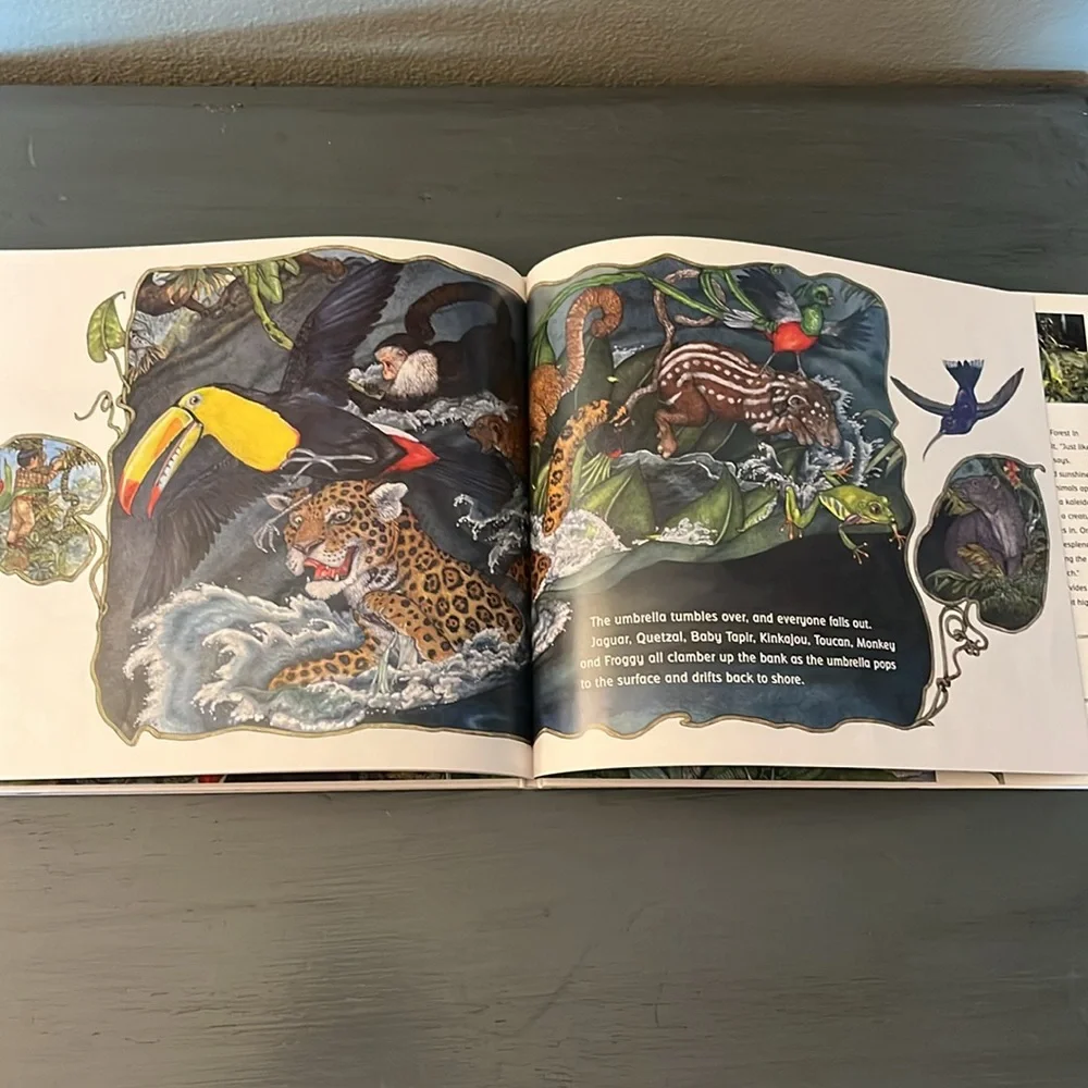 The Umbrella Hardcover – Picture Book  Sept. 2004 English edition  by Jan Bret